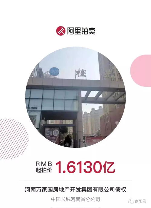 南陽知名房企項目突遭法拍 在建工程1.6億起拍，折射行業困境